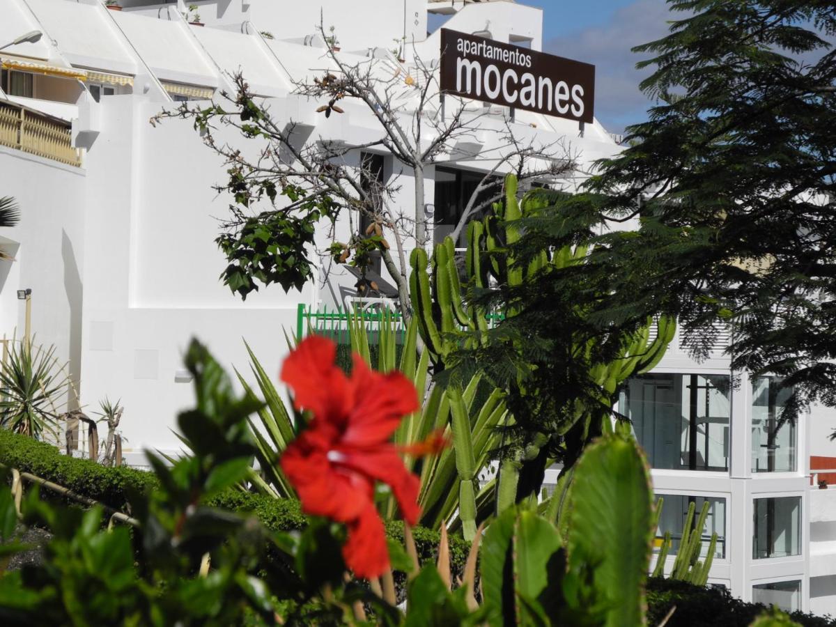 Apartamentos Los Mocanes بورتو ريكو المظهر الخارجي الصورة